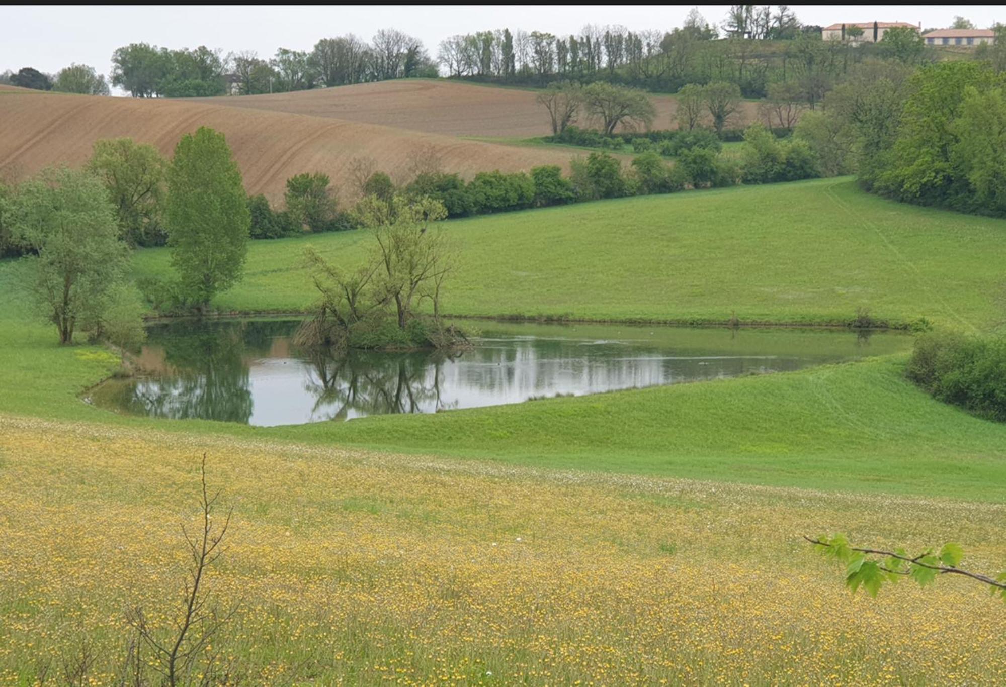 Love Room- Spa- Escale Amoureuse Puygaillard-de-Quercy Bagian luar foto